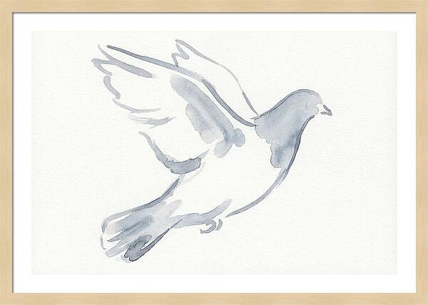 Flying Pigeon In Watercolor