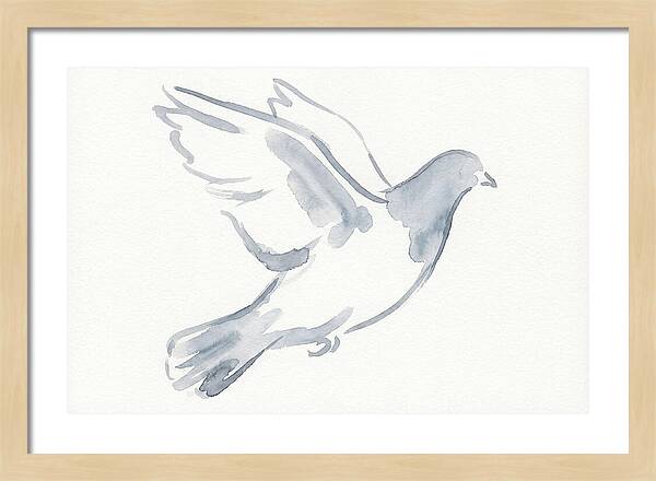 Flying Pigeon In Watercolor