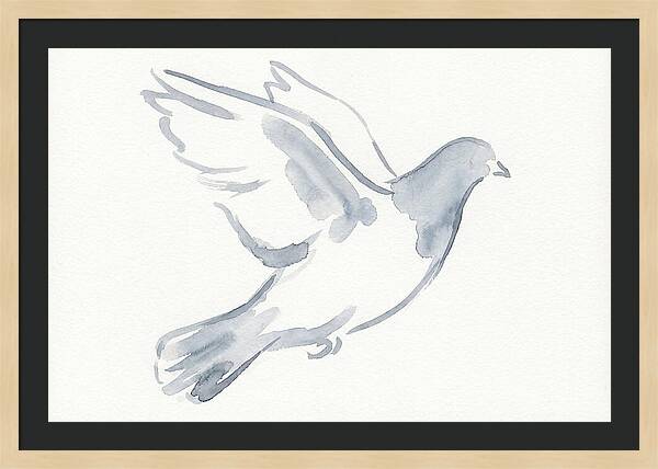 Flying Pigeon In Watercolor
