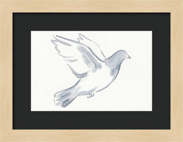 Flying Pigeon In Watercolor