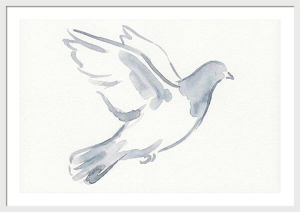 Flying Pigeon In Watercolor