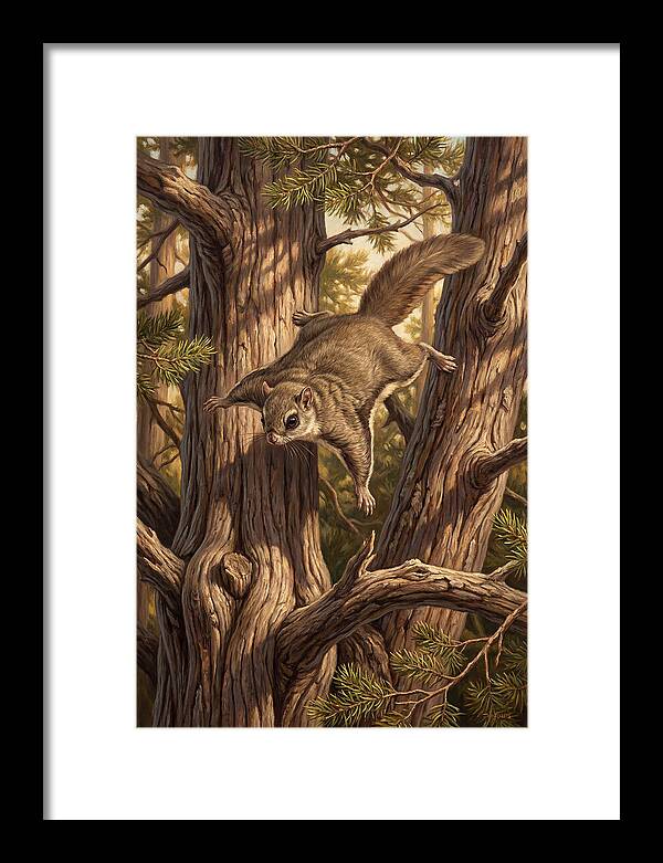Flying Squirrel Gliding Through Pines