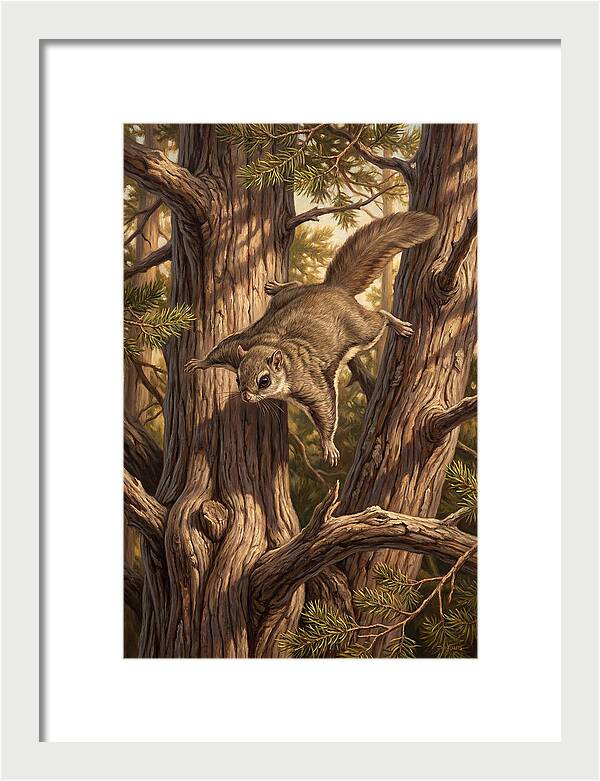 Flying Squirrel Gliding Through Pines