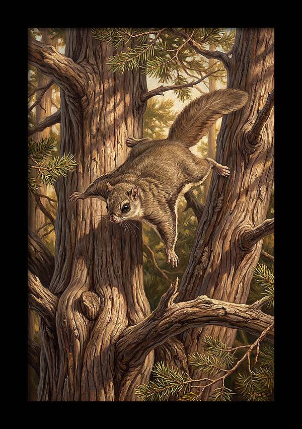 Flying Squirrel Gliding Through Pines