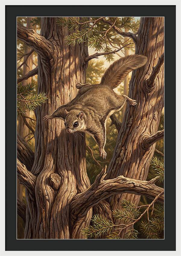 Flying Squirrel Gliding Through Pines