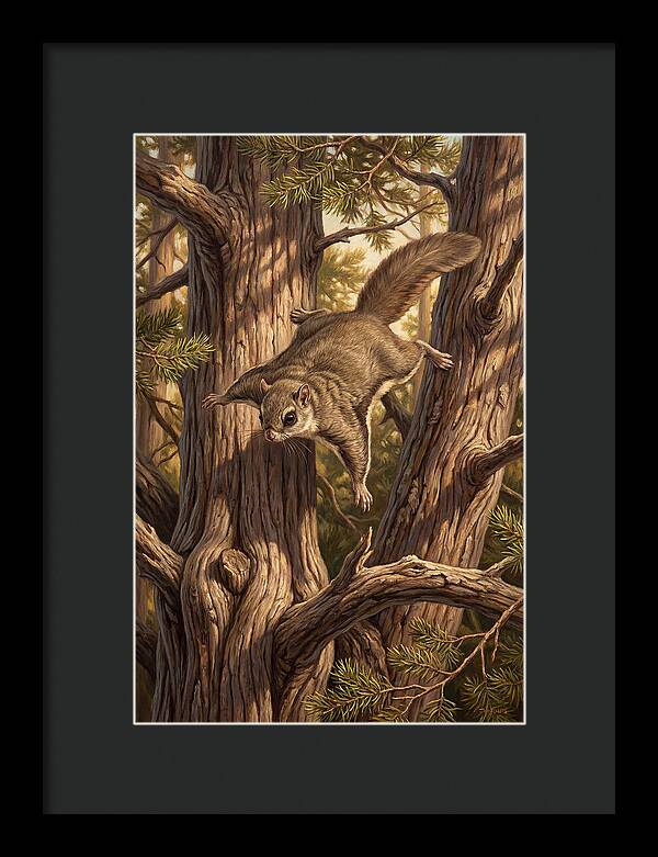 Flying Squirrel Gliding Through Pines