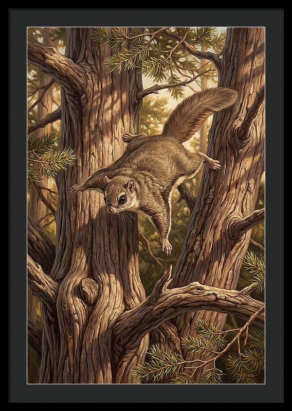 Flying Squirrel Gliding Through Pines