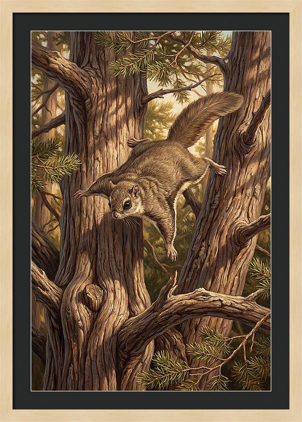 Flying Squirrel Gliding Through Pines