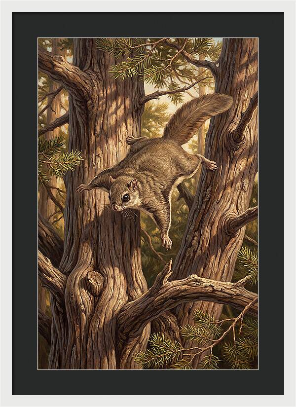 Flying Squirrel Gliding Through Pines