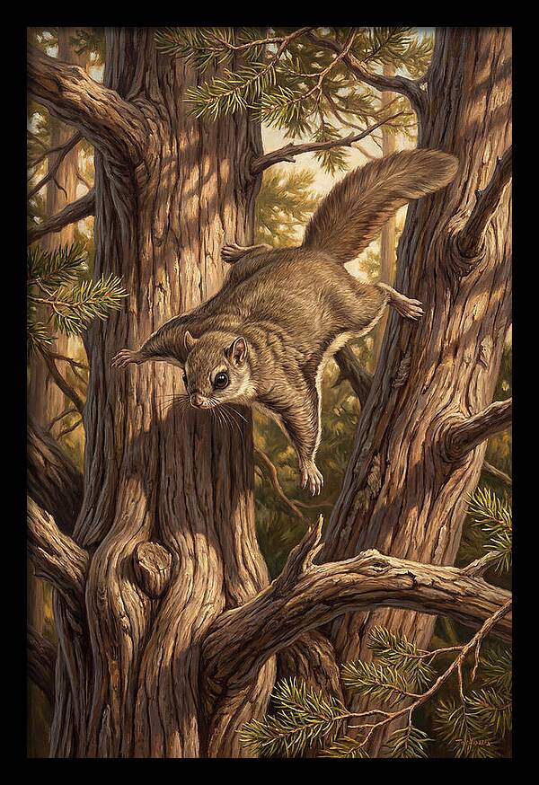 Flying Squirrel Gliding Through Pines