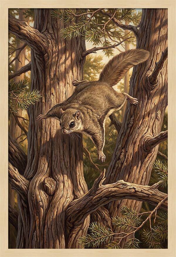 Flying Squirrel Gliding Through Pines