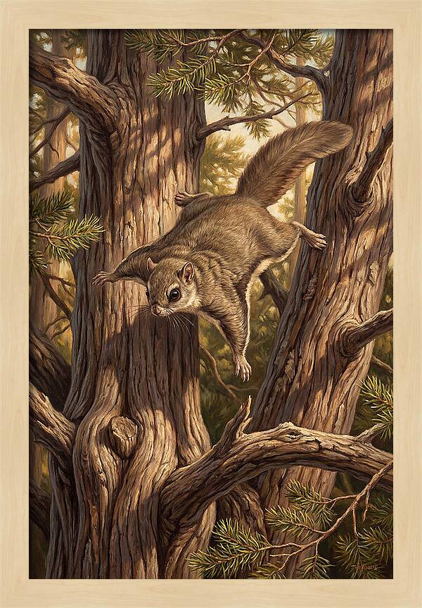 Flying Squirrel Gliding Through Pines