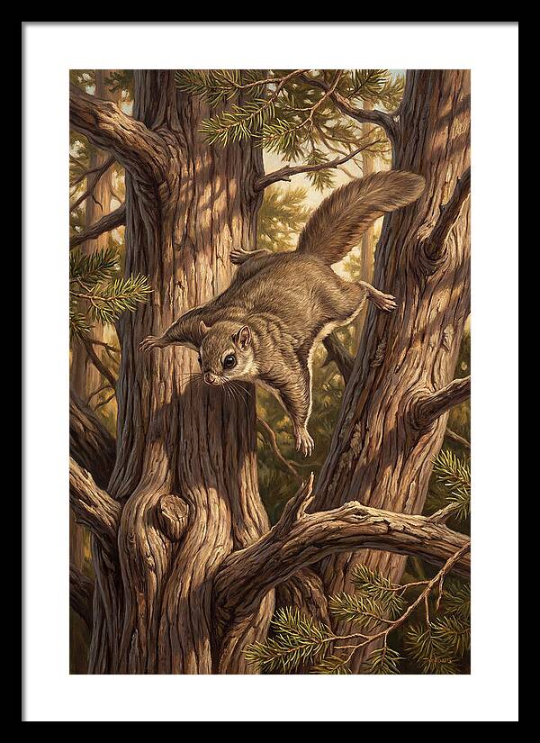 Flying Squirrel Gliding Through Pines