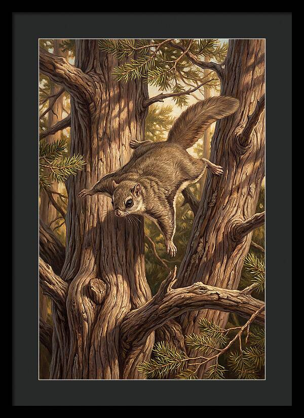 Flying Squirrel Gliding Through Pines