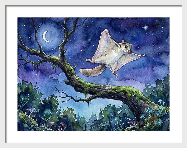 Flying Squirrel In Moonlight