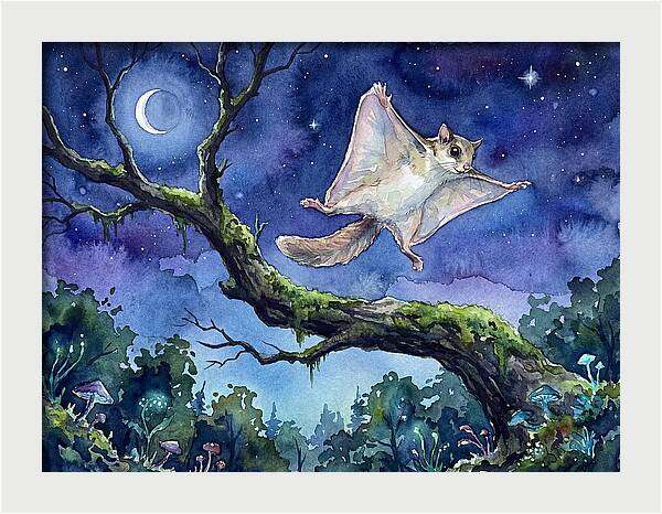 Flying Squirrel In Moonlight