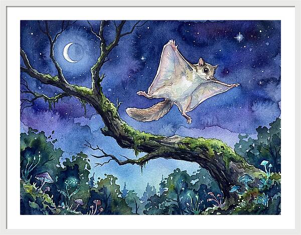 Flying Squirrel In Moonlight
