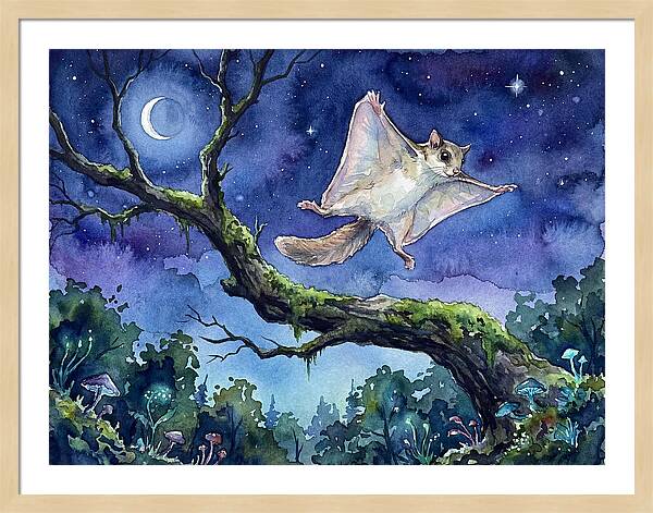 Flying Squirrel In Moonlight