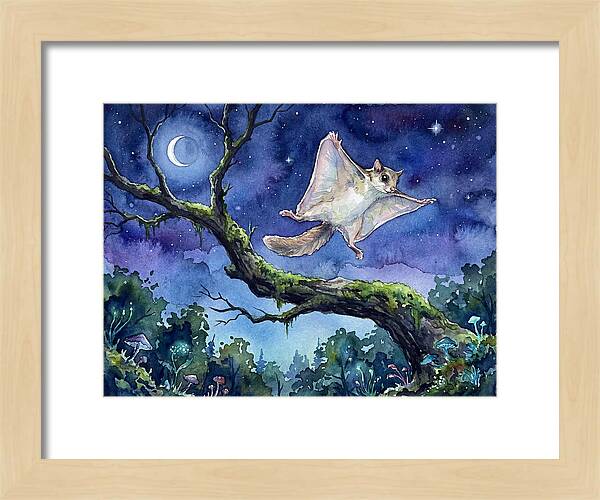 Flying Squirrel In Moonlight
