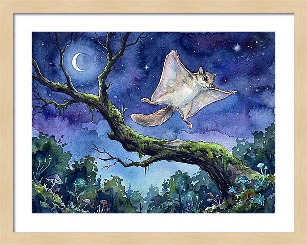 Flying Squirrel In Moonlight