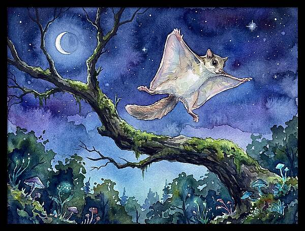 Flying Squirrel In Moonlight