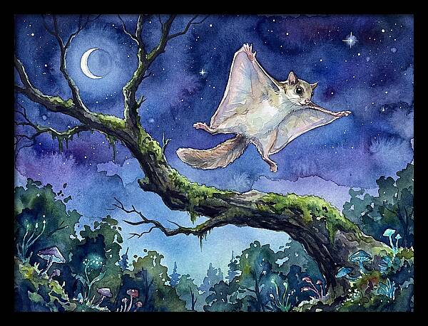 Flying Squirrel In Moonlight
