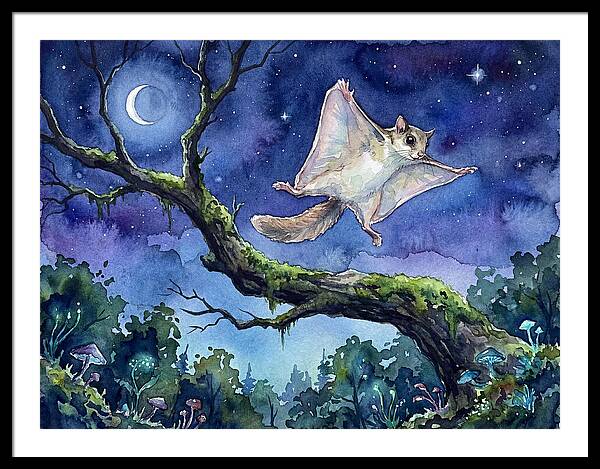 Flying Squirrel In Moonlight
