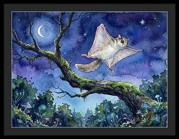 Flying Squirrel In Moonlight