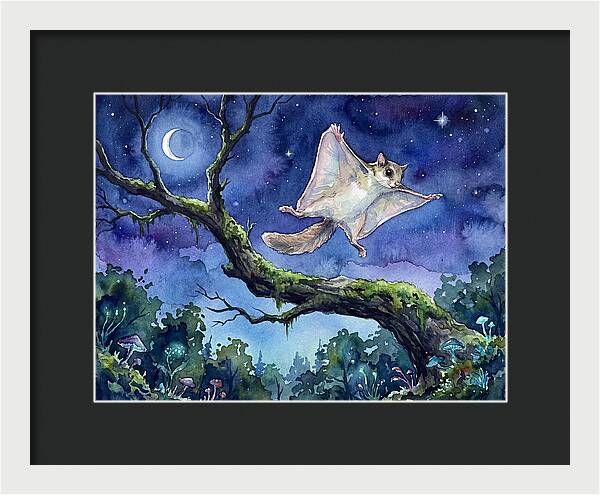 Flying Squirrel In Moonlight