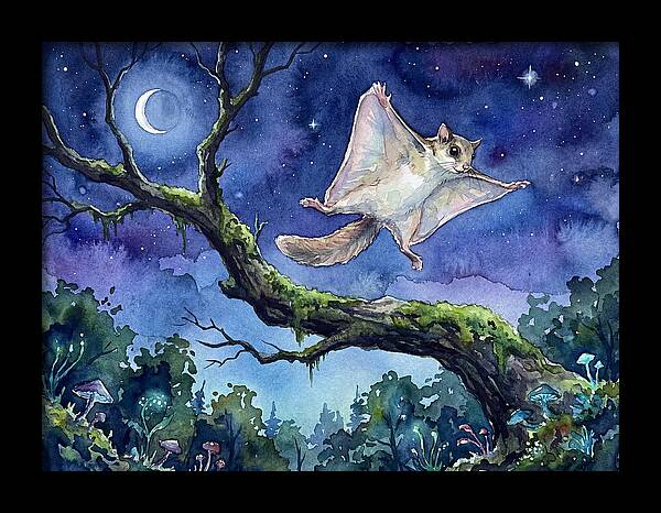 Flying Squirrel In Moonlight