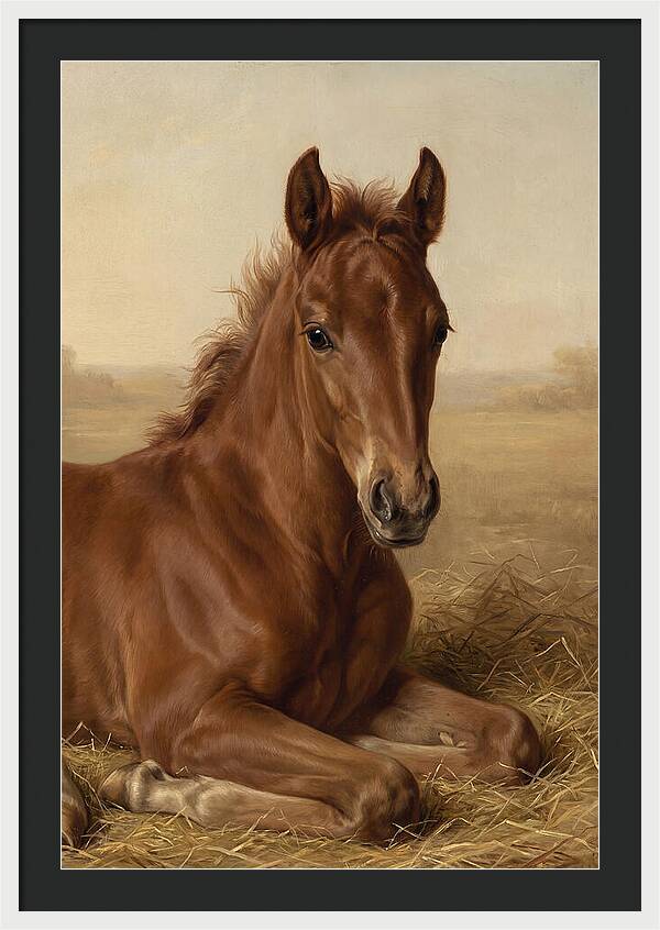 Foal In Serene Rest