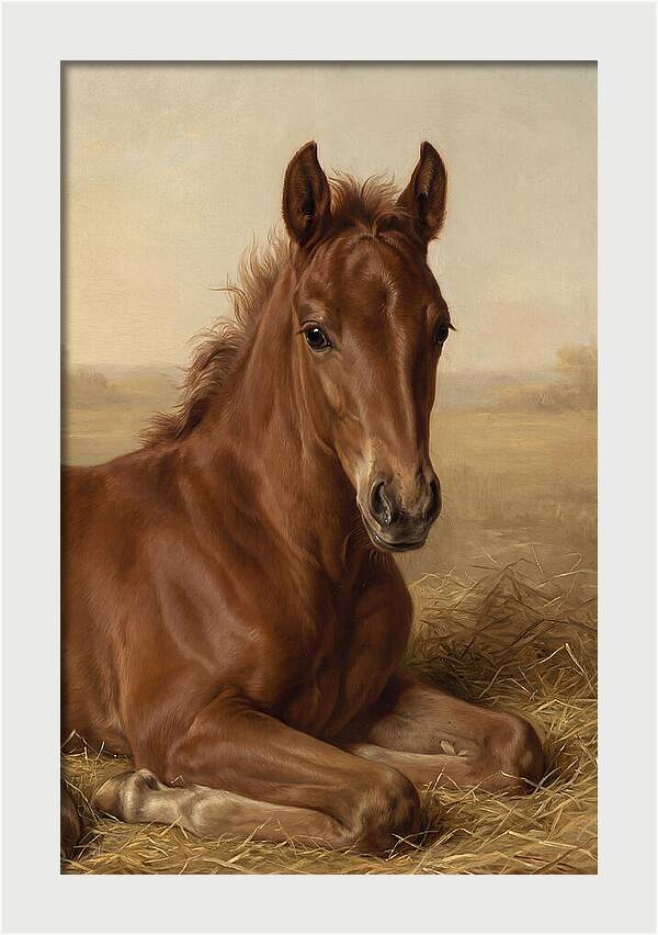 Foal In Serene Rest
