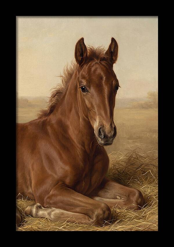 Foal In Serene Rest