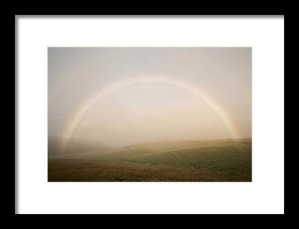Fog Bow Over Green Meadow
