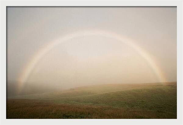 Fog Bow Over Green Meadow
