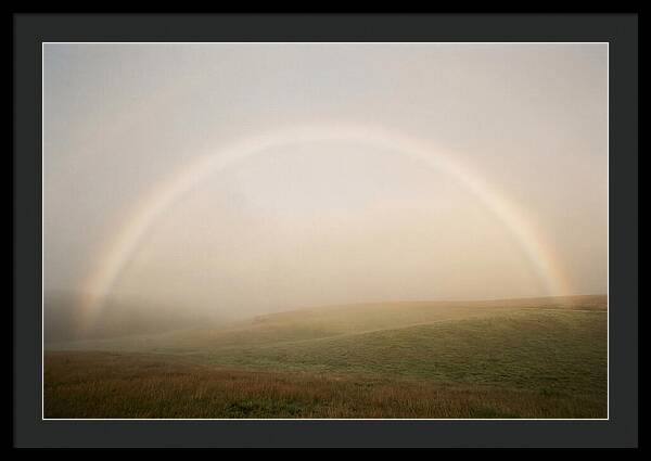 Fog Bow Over Green Meadow