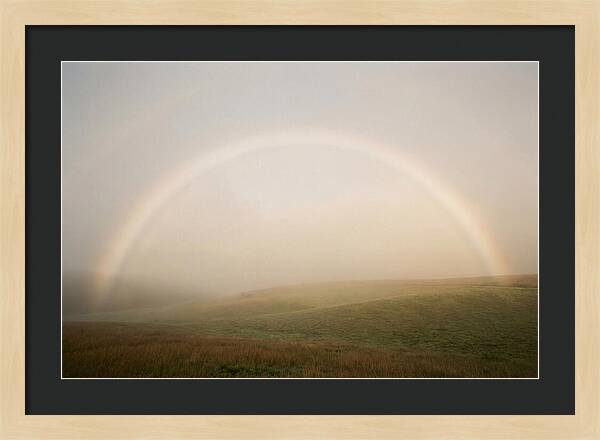 Fog Bow Over Green Meadow