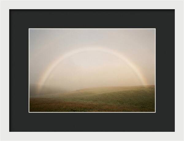 Fog Bow Over Green Meadow