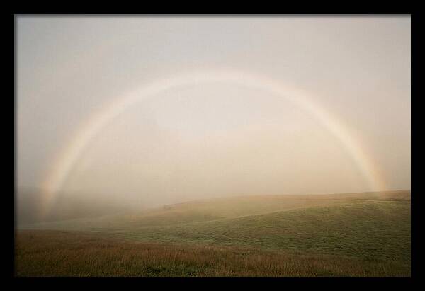 Fog Bow Over Green Meadow