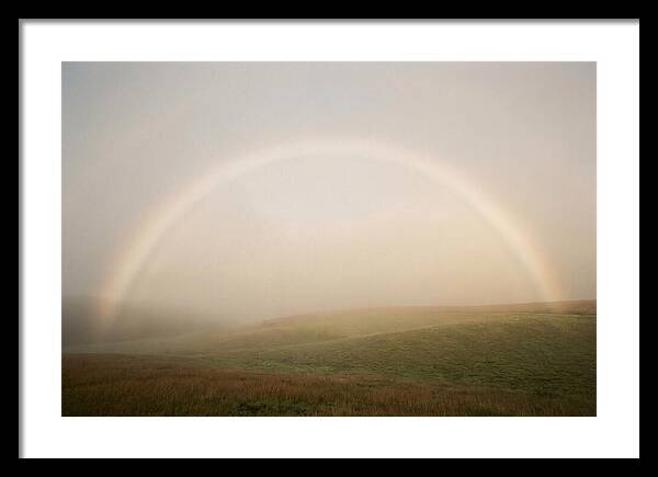 Fog Bow Over Green Meadow