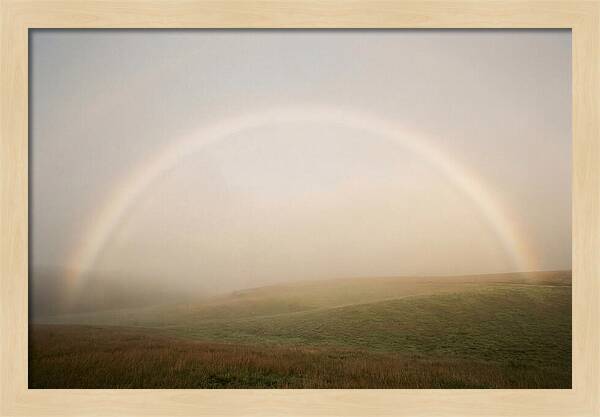 Fog Bow Over Green Meadow