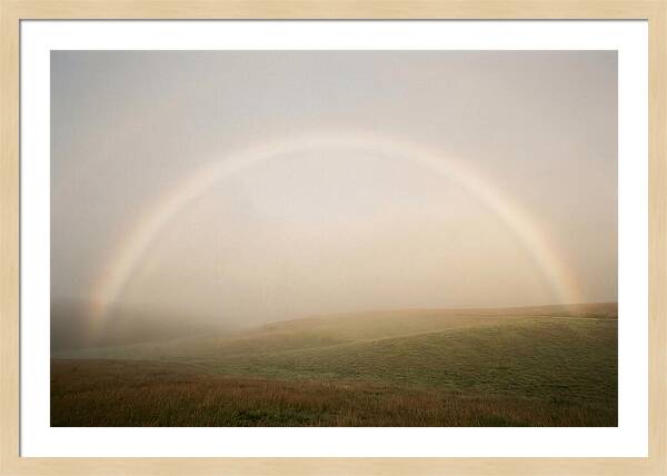 Fog Bow Over Green Meadow