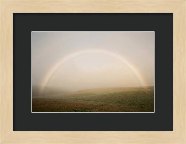 Fog Bow Over Green Meadow