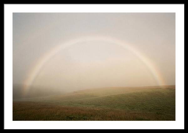 Fog Bow Over Green Meadow