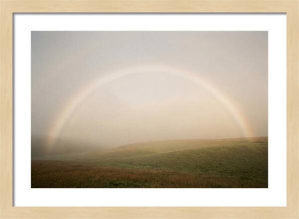 Fog Bow Over Green Meadow