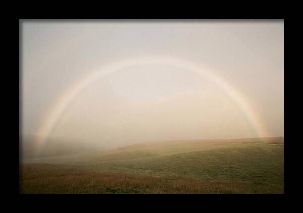 Fog Bow Over Green Meadow