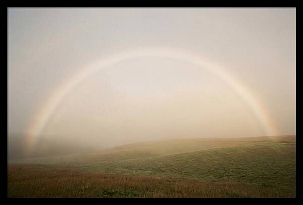 Fog Bow Over Green Meadow