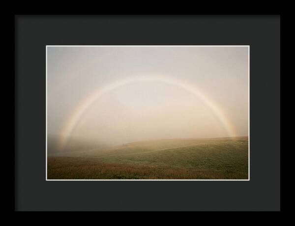 Fog Bow Over Green Meadow