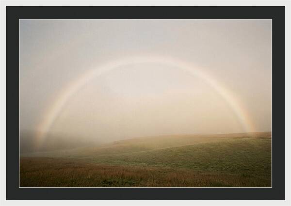 Fog Bow Over Green Meadow