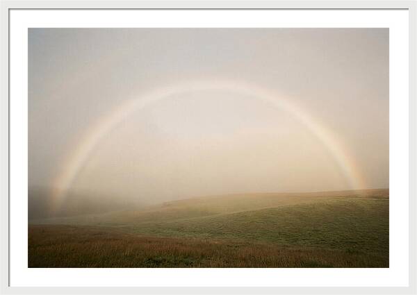 Fog Bow Over Green Meadow
